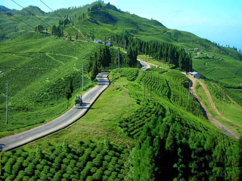 Kanyam image